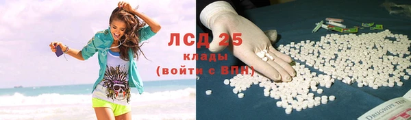 дмт Аркадак