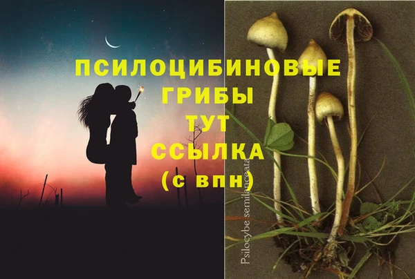 соль ск Переславль-Залесский