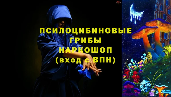 дмт Аркадак