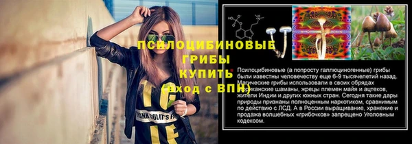 дмт Аркадак
