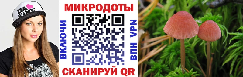 Галлюциногенные грибы MAGIC MUSHROOMS  OMG онион  Устюжна 